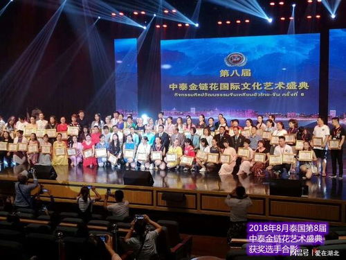 第九屆中國藝術(shù)新星國際文化藝術(shù)節(jié)湖北選區(qū)海選報(bào)名登記