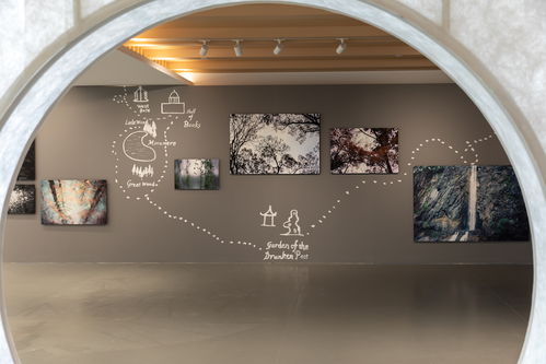 向西 聚焦松江 從藝術(shù)角度進入城市肌理與人文